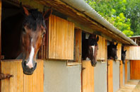 free Little Moor End stable construction quotes